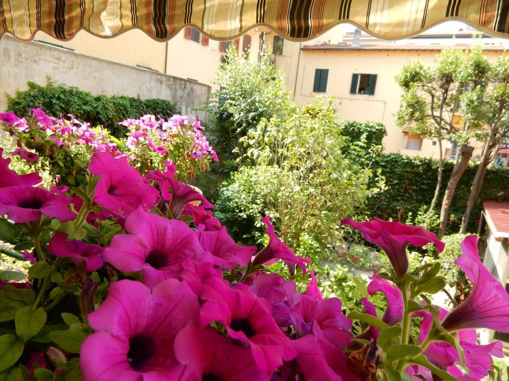 Villa Gini Pisa Dış mekan fotoğraf